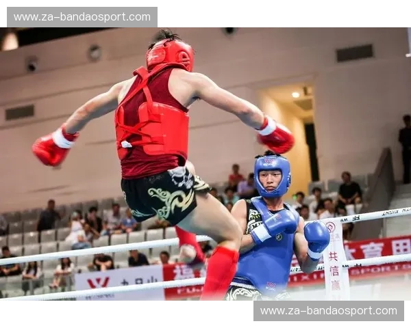 柔道预测：用数据点亮你的擂台之路